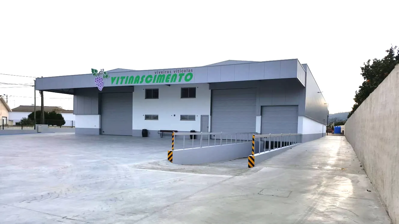 Viveiros Vitinascimento