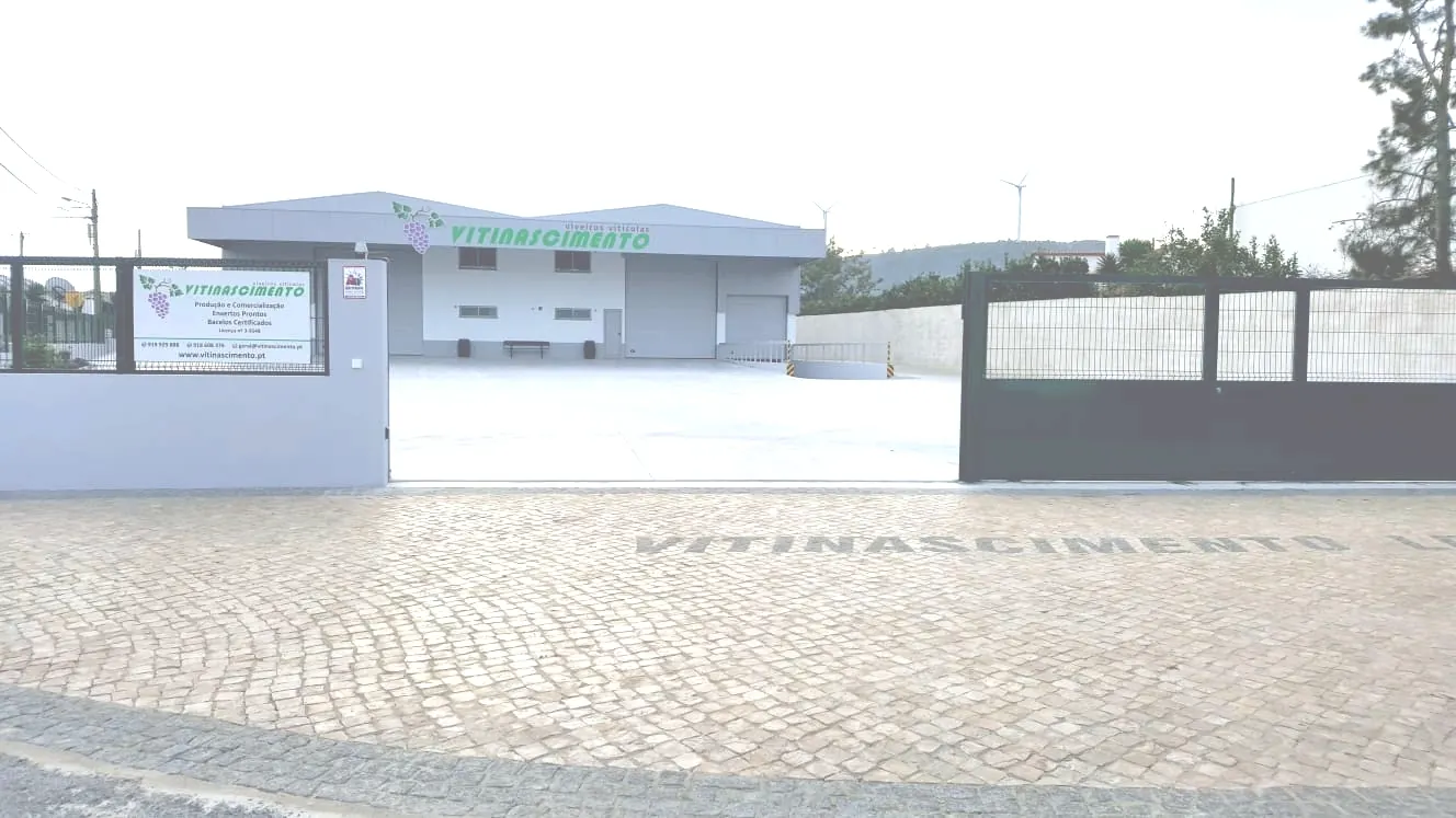 Nova Decoração