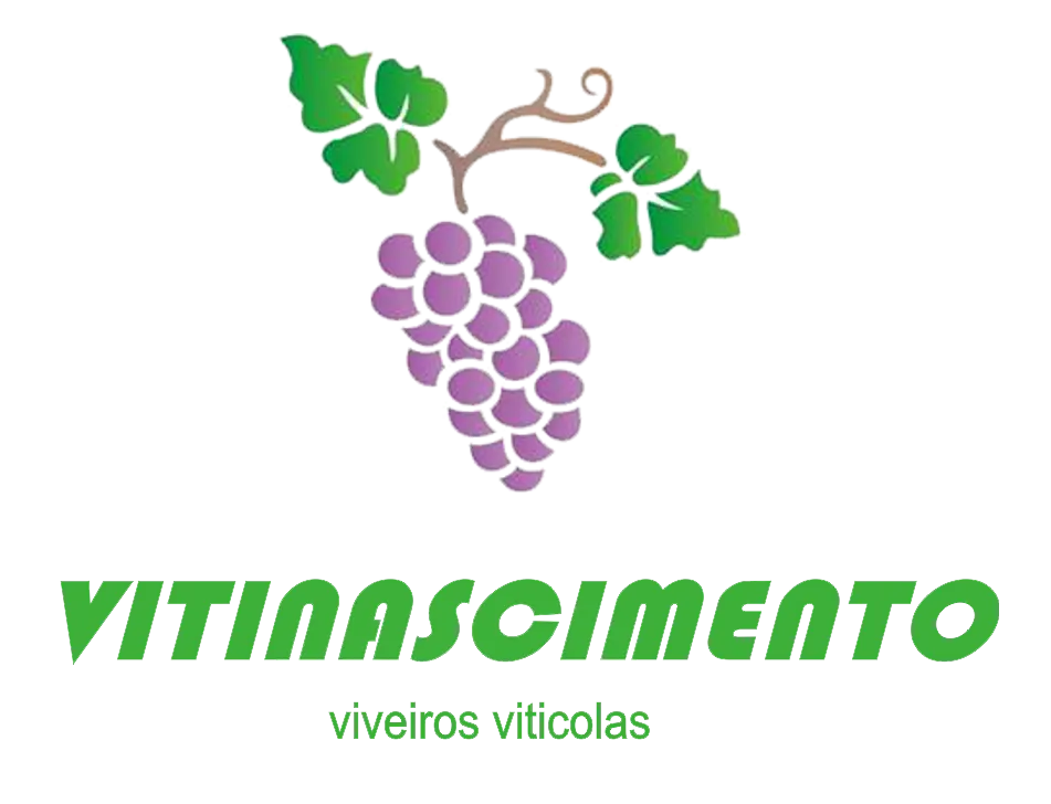 Vitinascimento